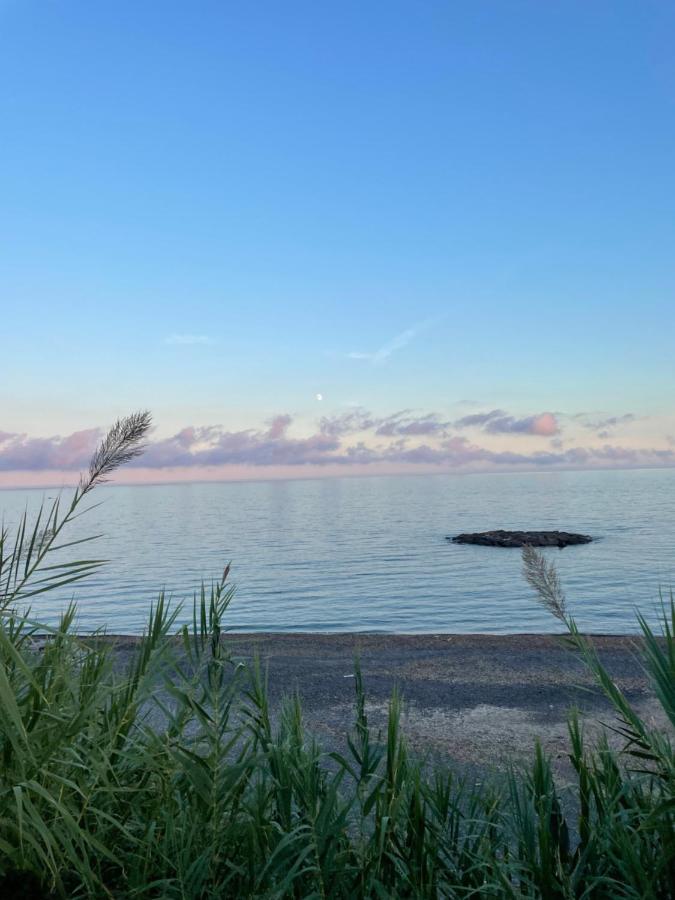 Bistrot Del Mare Lejlighed Santo Stefano al Mare Eksteriør billede