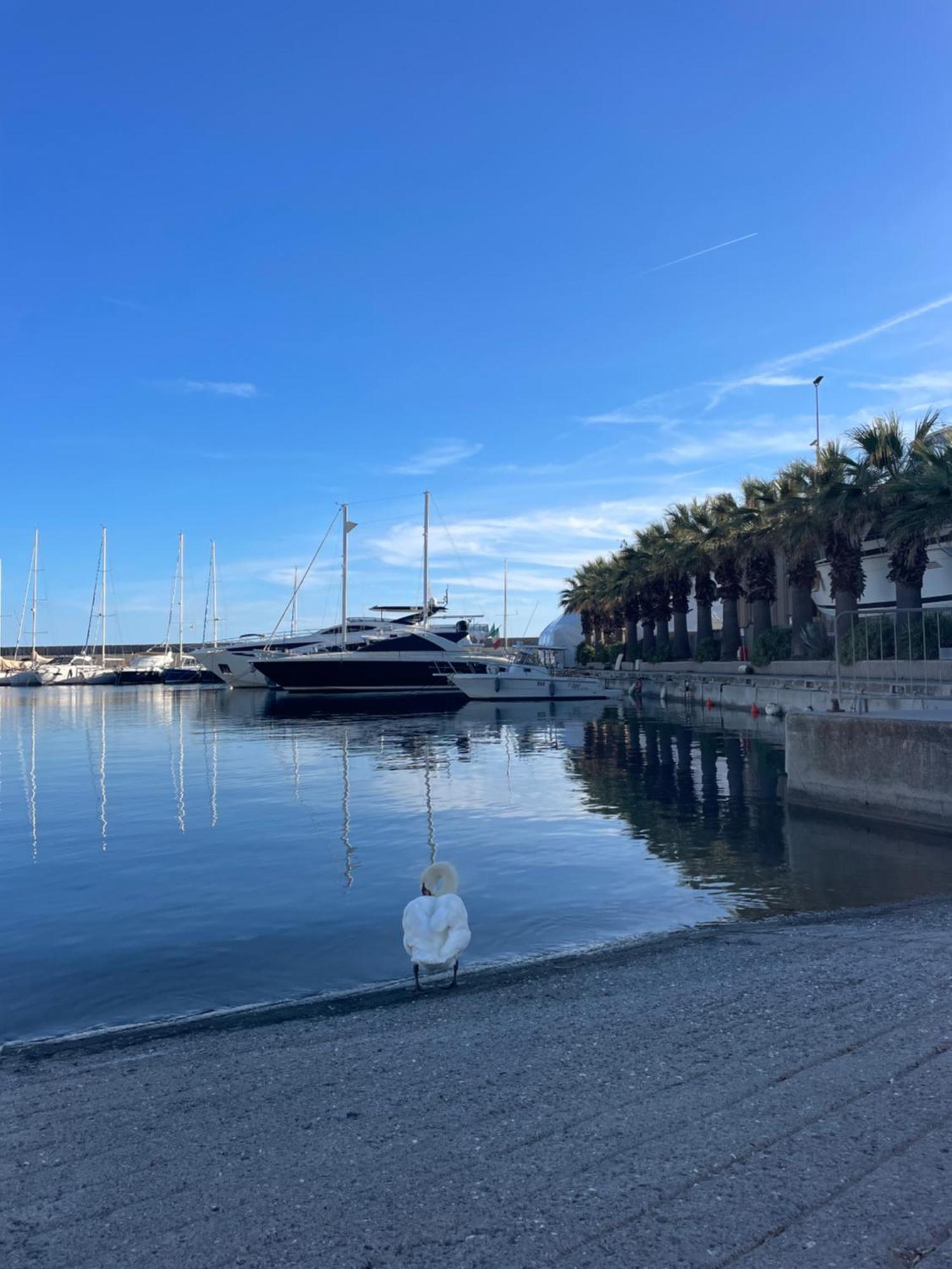 Bistrot Del Mare Lejlighed Santo Stefano al Mare Eksteriør billede